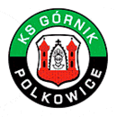 Gornik Polkowice